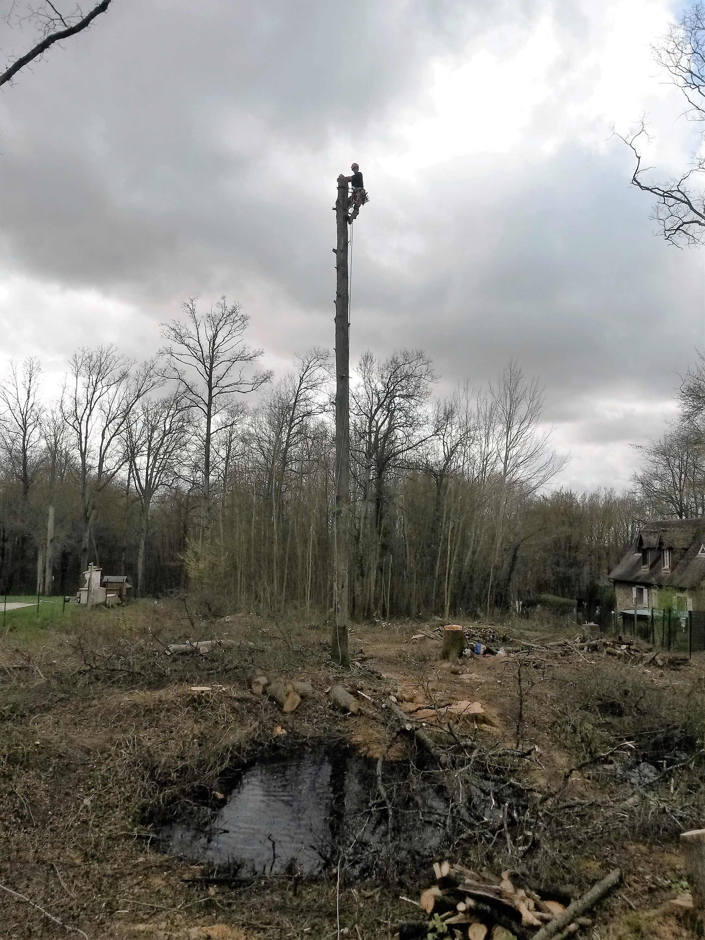 elagage abattage Mouroux 77120